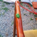 백달낚시터 이미지