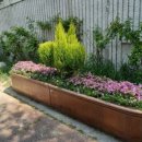 새천년로 이미지