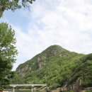 금산금빛시장(금산시장) | 충남 금산여행 월영산 출렁다리 주차 휴무일 체크