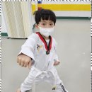 힘찬태권도 이미지