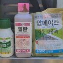 골마농장 네이버블로그