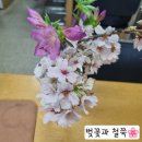 하나로마트 일죽농협본점 이미지