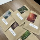 서당초등학교 | [분당 서당초] 손끝으로 느끼는 힐링, 실습 중심 학부모 연수 '나만의 드립백' 워크숍