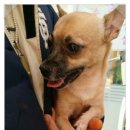 뉴월드 동물병원 이미지