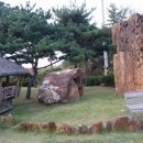 무고레 Daum카페