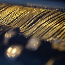 충청남도 계룡시 금암동 7-1 이미지