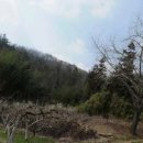 보성공인중개사사무소 이미지