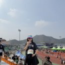 수송 블랙야크 | 합천 벚꽃 마라톤 5km 임산부 후기