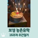 보성녹차골휴게소 | 보성 농촌유학 16주차 주간일기 / 영화 서울의봄 / 내 생일 / 전래놀이 지도사 자격증 / 서울 다녀옴...