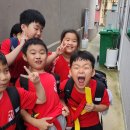 강철체육관(태권도) 이미지