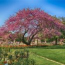 관양본신경외과의원 이미지