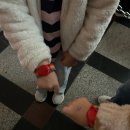 서비스월드 | 2025 크리스마스 시즌 아이와 함께 롯데월드 꿀팁! 헤이메잇 서비스 이용후기