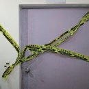 마산회원구 ⓒ-12 이미지