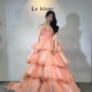 제이미 모텔 | 르블랑 촬영용 드레스 가봉 후기 | 풍성 1벌 + 슬림 1벌 + 유색 + 블랙 총 4벌 선택!(6벌 입어봄)