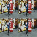 로드복싱 이미지