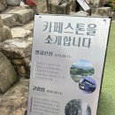 스톤 | 고령 대형카페 추천｜수영장까지 있는 카페스톤 후기