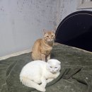 예은꽃방
