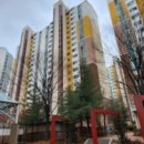 소안초등학교3 이미지