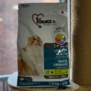 퍼스트초이스 | 고양이 사료 추천 플러피랩 퍼스트초이스 캣 유리너리