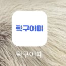 CU진주혁신라온점 | 진주 혁신 놀거리- 이색데이트 딱인 탁구어때 진주혁신점 후기 (feat. 진주 무인 탁구장)