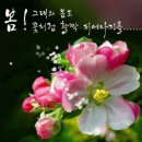 명화의 전당