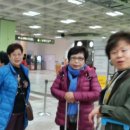 정희미장원 - 남구 | 정희미장원