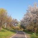 노을공원 이미지