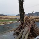 대덕장터 이미지