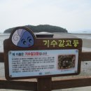 소라면 장척 이미지