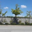 대의초등학교 이미지