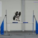 루카스독트레이닝 이미지