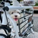 강릉바이크프라자 이미지