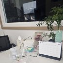 유에스모터스
