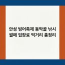 동막골약수터 | 안성 빙어축제 동막골 낚시 썰매 입장료 먹거리 총정리