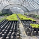 두곡 경로당 이미지