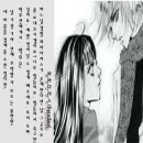 파라다이스(Paradise) - 거제시 | 파라다이스(Paradise)