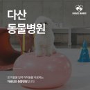 따뜻한 동물병원 이미지