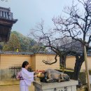 about flow | 다자이후 덴만구 근처 기모노 대여샵 후기 헤어스타일링 포함