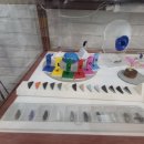 오티콘보청기 경기광주점 이미지