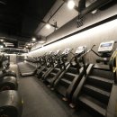 엠휘트니스9 이미지