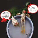 부부통닭 - 김제시 화동길 78 | 부부통닭