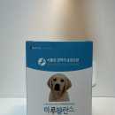 제이원피앤지 | 추천] 하루발란스 강아지 영양제로 장건강부터 면역력까지 챙겨요 🐶💚 하루발란스 강아지 유산균 솔직 후기!