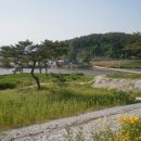 대강면 석촌마을 이미지