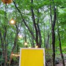 김천물소리생태숲_#2 이미지