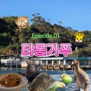 RedZone | 호주 시드니 타롱가 주 Taronga zoo 후기