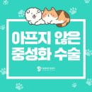 사하동물병원 이미지