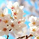 비경휘트니스 이미지