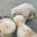 황자반놀이터 이미지