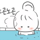 힐링 토마토 사우나 이미지