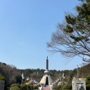 충혼탑 주차장 주변 | 창원 충혼탑 목련 개화정보 이번 주말 꼭 가봐야 할 사진 명소 + 데이트 코스 추천